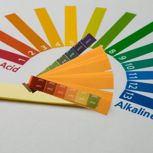 pH papers in front of a pH scale